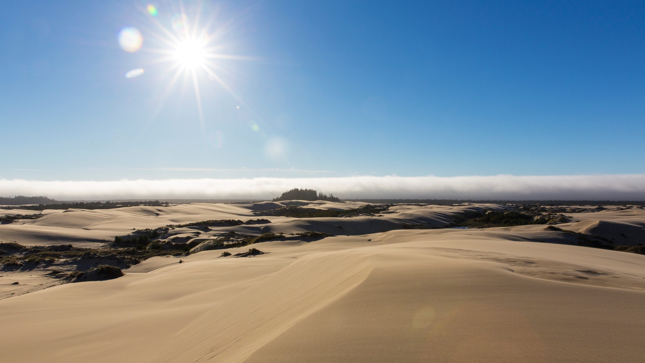 Pemandangan alam yang indah dari bukit pasir di bawah sinar matahari, Area Rekreasi Nasional Oregon Dunes, Oregon, AS