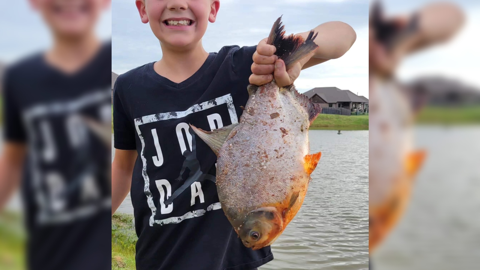 seorang anak laki-laki mengangkat seekor ikan di depan sebuah kolam.