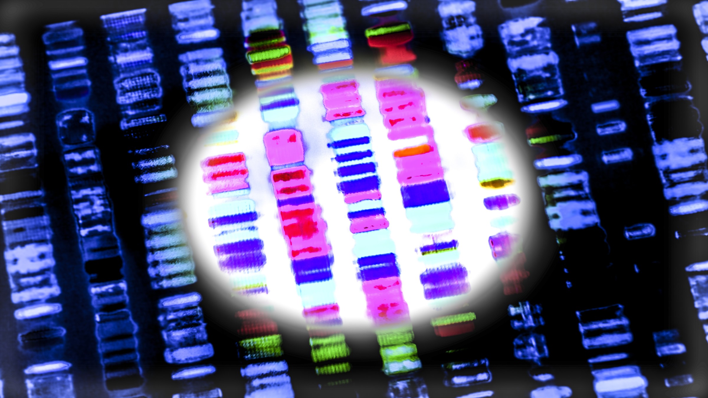 Tampilan jarak dekat dari data pengurutan DNA, digambarkan sebagai deretan garis berwarna