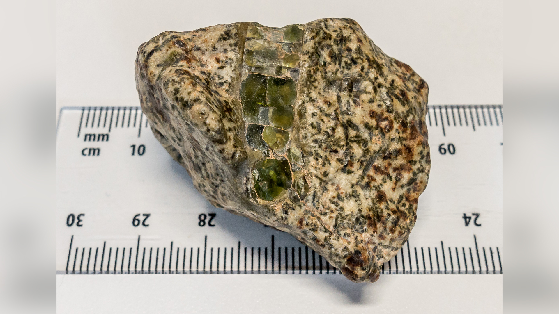 Meteorit Achondrite Erg Chech 002.